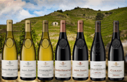 Inscription Dégustation Vins blancs et rouges Maison DELAS : 23 Octobre 2025 - 19h